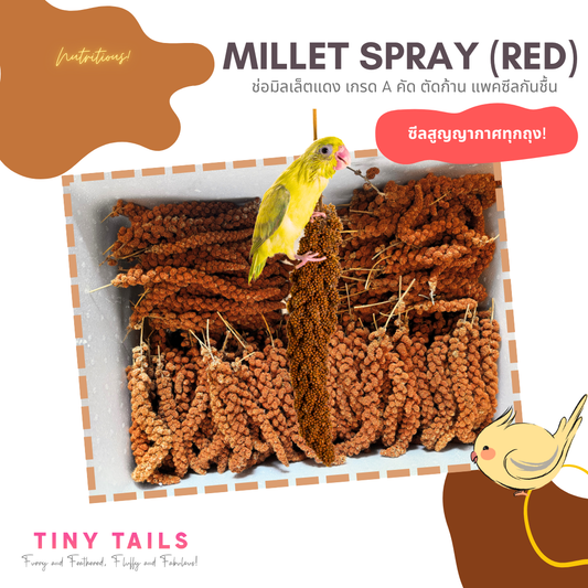 Red Millet Spray - มิลเล็ตสเปรย์ แดง คัดเกรด แพคถุงซีลสูญญากาศ สะอาด พร้อมส่ง! สำหรับนกและแฮมเตอร์ (250g-500g)